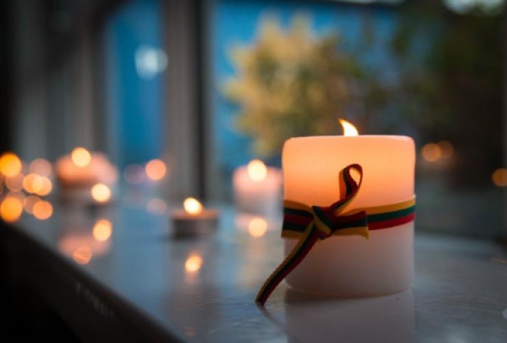 Kartu minėkime Laisvės gynėjų dieną pilietine iniciatyva „Pergalės šviesa“